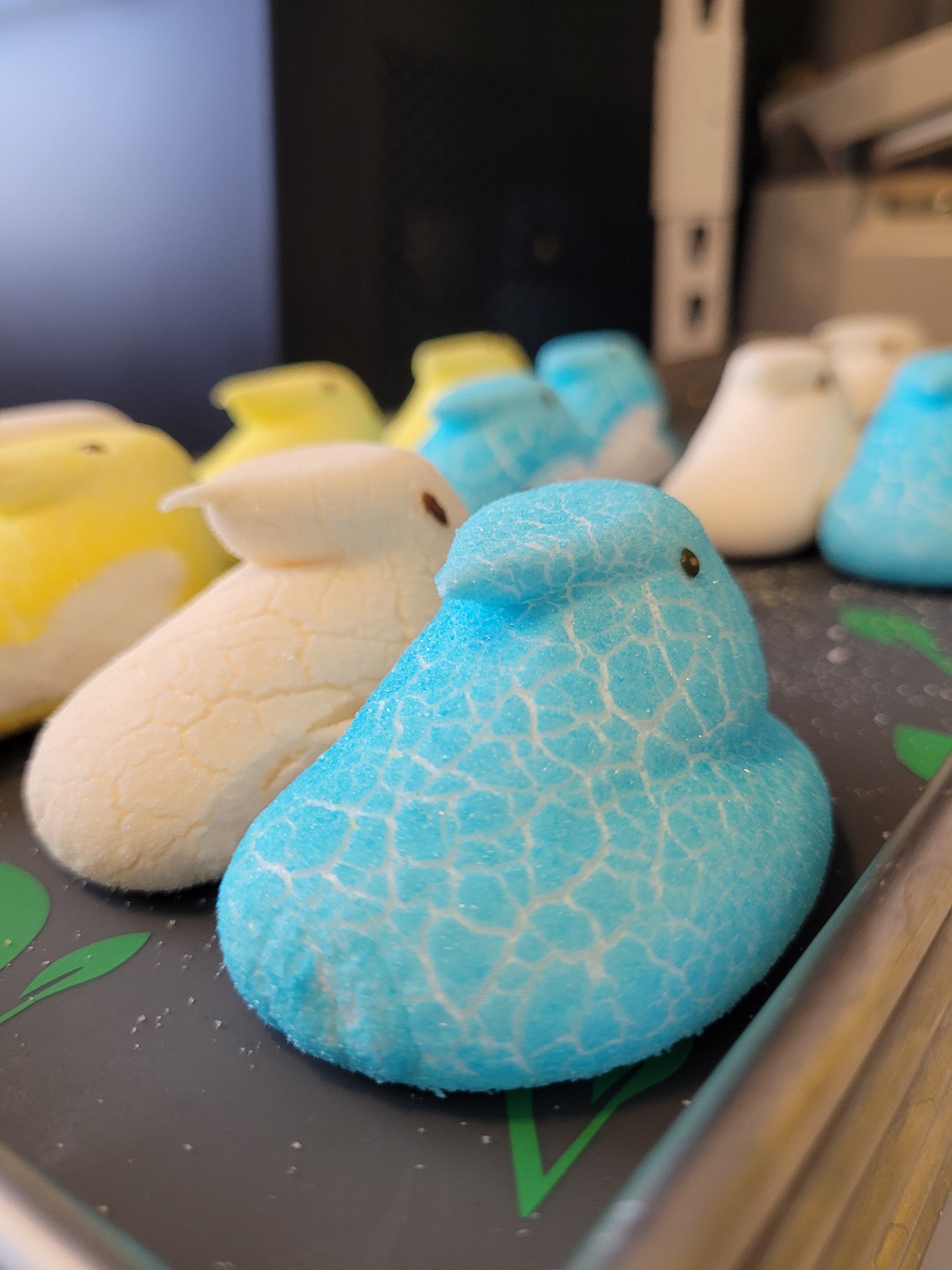 Freeze-dried Marshmallow Chicks